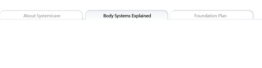 Body Systems Explained tab