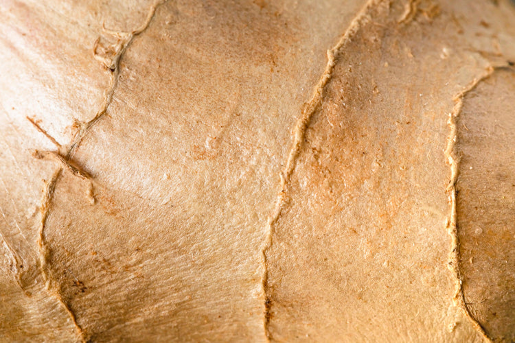 Using Ginger to Its Fullest