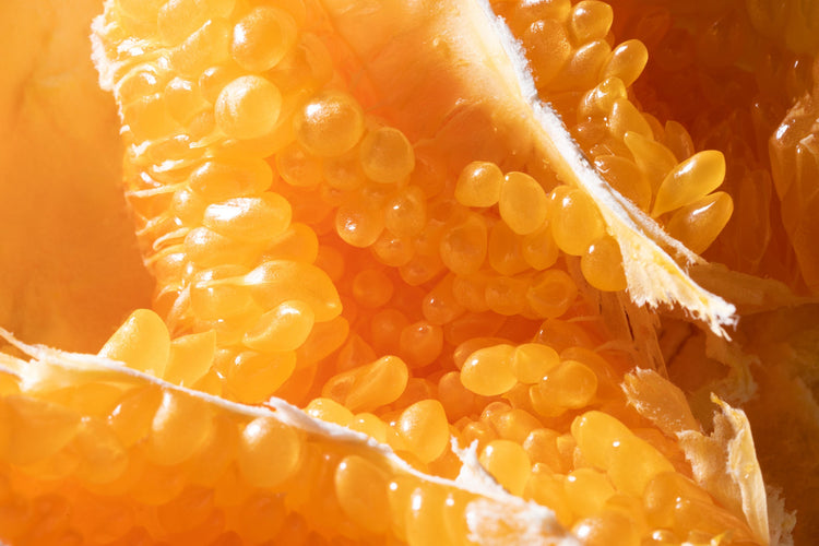 Surprising Sources of Vitamin C in Foods