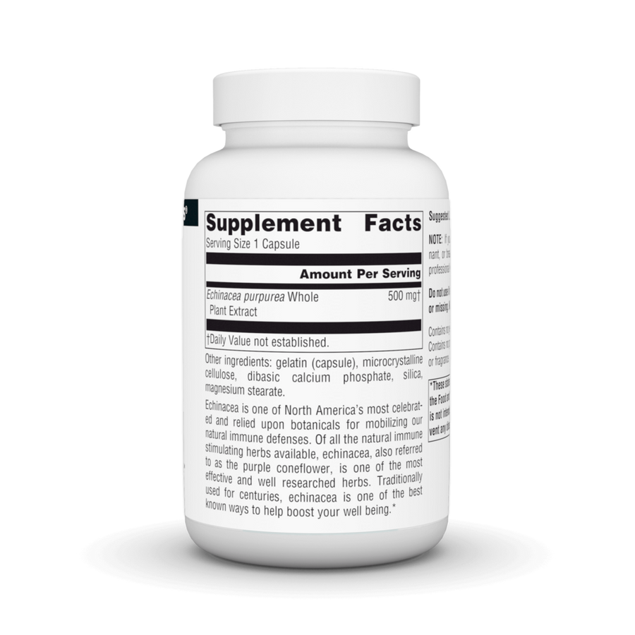 Echinacea Extract