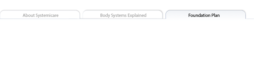 Foundation Plan tab